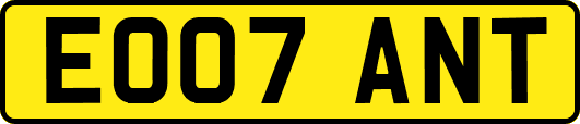 EO07ANT