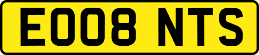 EO08NTS
