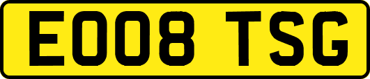 EO08TSG