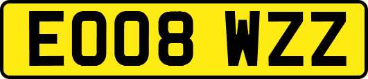 EO08WZZ