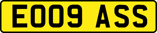 EO09ASS