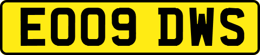 EO09DWS