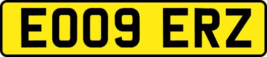 EO09ERZ