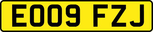 EO09FZJ