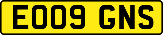 EO09GNS