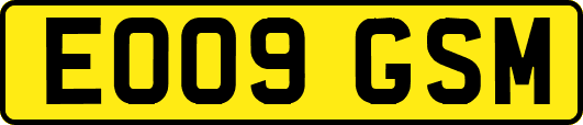 EO09GSM