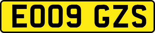 EO09GZS