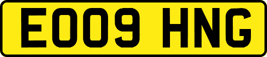 EO09HNG