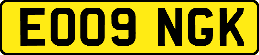 EO09NGK