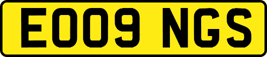 EO09NGS