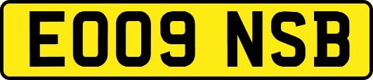 EO09NSB