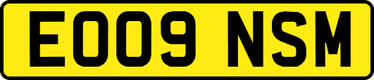 EO09NSM