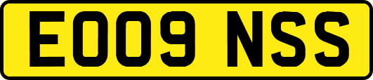 EO09NSS