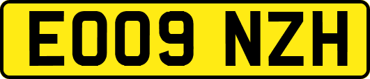 EO09NZH