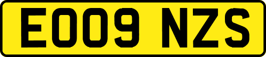 EO09NZS