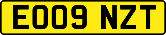 EO09NZT