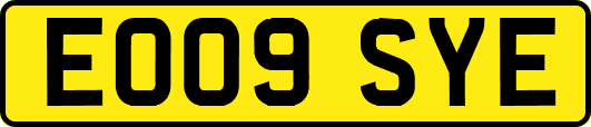 EO09SYE