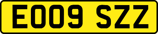 EO09SZZ
