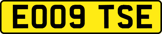 EO09TSE