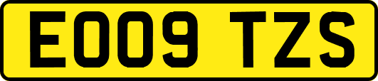 EO09TZS