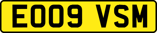 EO09VSM