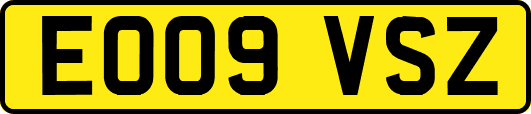 EO09VSZ