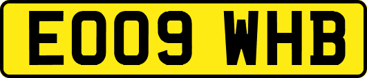 EO09WHB