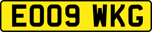 EO09WKG