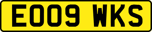 EO09WKS