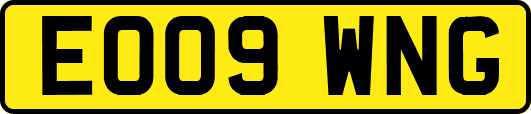 EO09WNG