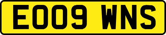 EO09WNS