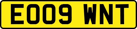 EO09WNT