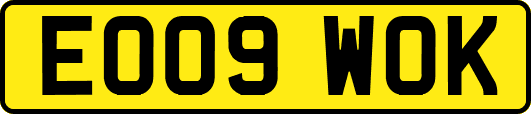 EO09WOK