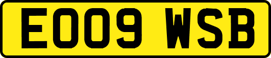 EO09WSB