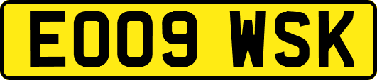 EO09WSK