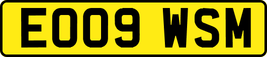 EO09WSM
