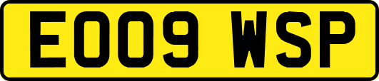 EO09WSP
