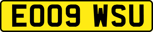 EO09WSU