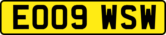 EO09WSW