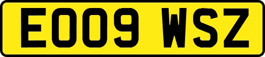 EO09WSZ