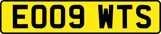 EO09WTS