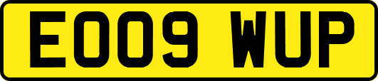 EO09WUP