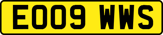 EO09WWS
