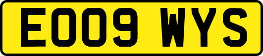 EO09WYS