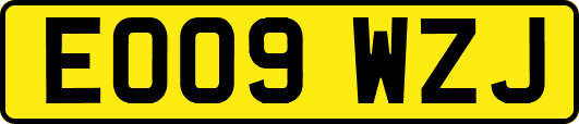 EO09WZJ