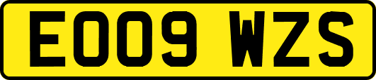 EO09WZS