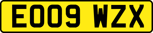EO09WZX