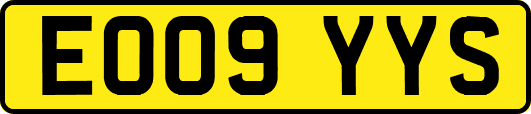 EO09YYS