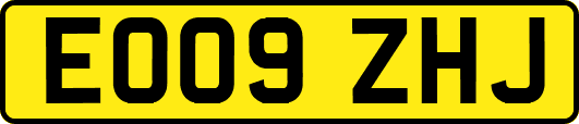 EO09ZHJ