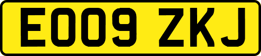 EO09ZKJ